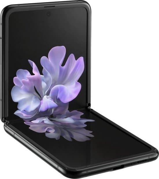 Model Image