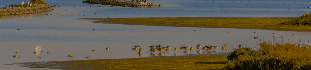 Telefoon reparatie in Middelharnis | MrAgain