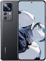 Model Image